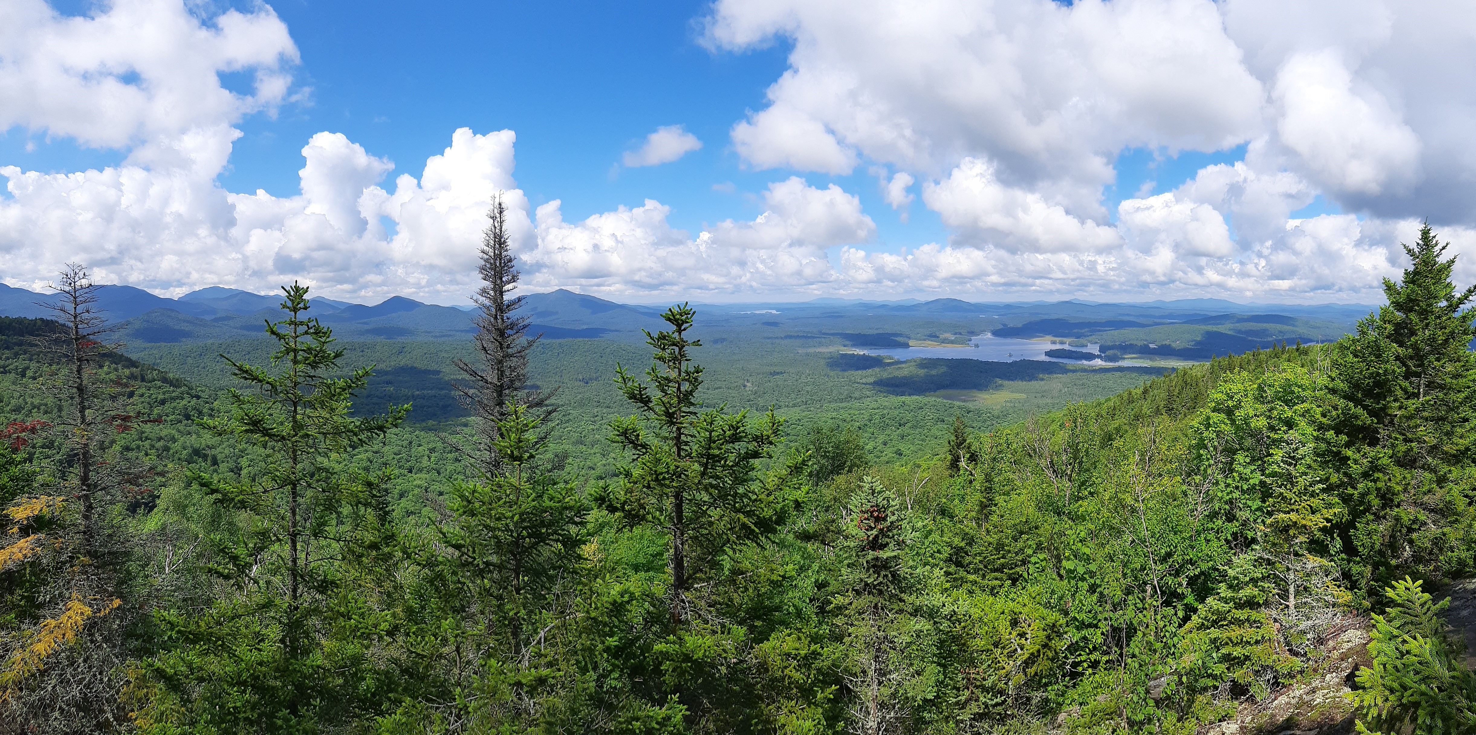 We Need Your Voice in Protecting the Adirondack Forest Preserve