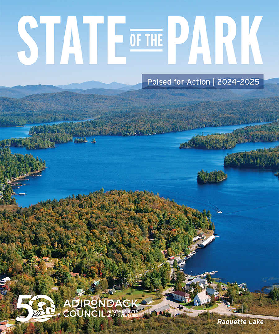 the cover of the 2024 state of the park report