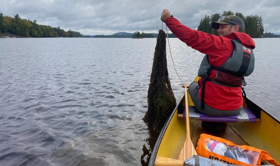 A large bunch of invasive milfoil found in Raquette Lake