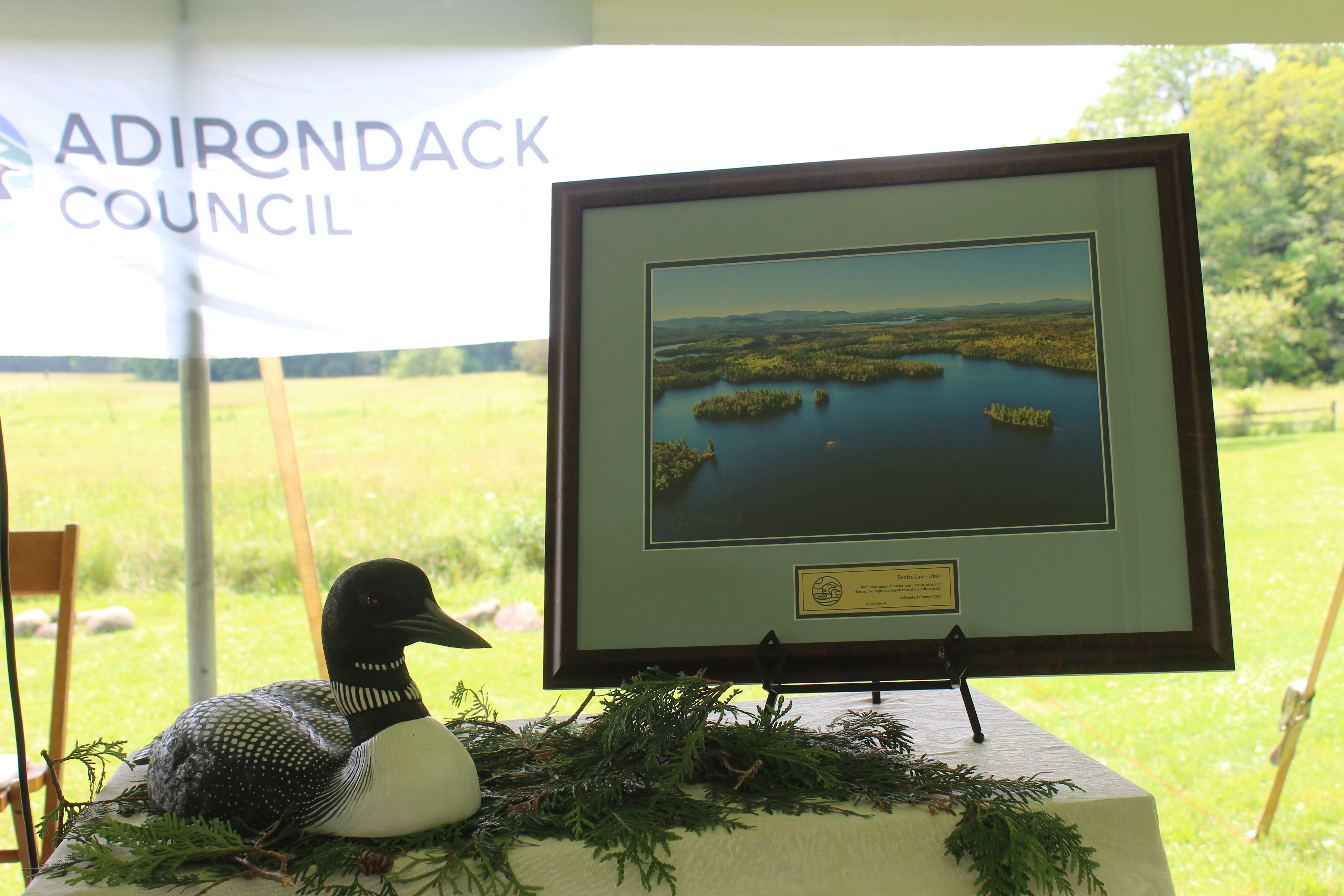A hand carved loon and a framed photo are the awards given at Forever Wild Day