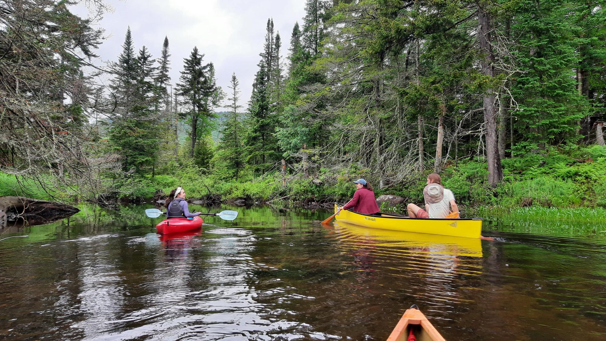 Paddlers on the Marion River